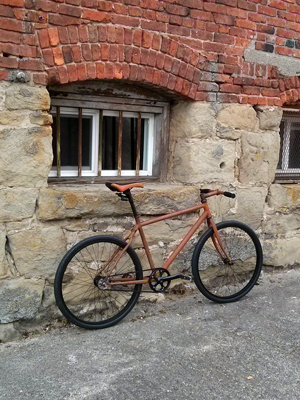 The Rust Bike: Rusty and Beautiful