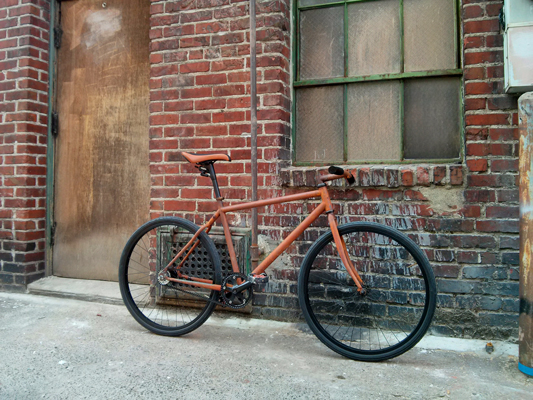 The Rust Bike: Rusty and Beautiful