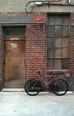 The Rust Bike: Rusty and Beautiful