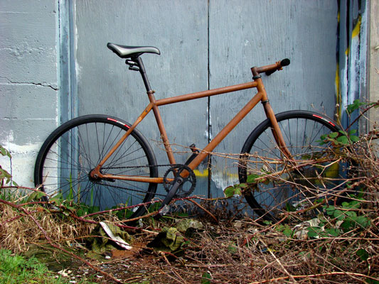 The Rust Bike: Rusty and Beautiful