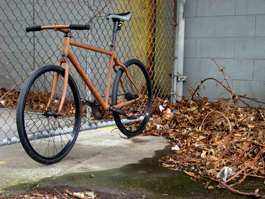 The Rust Bike: Rusty and Beautiful