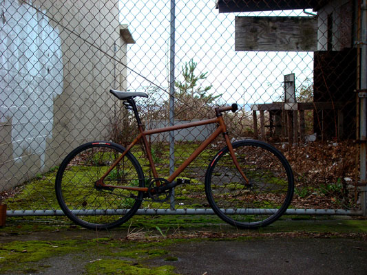 The Rust Bike: Rusty and Beautiful