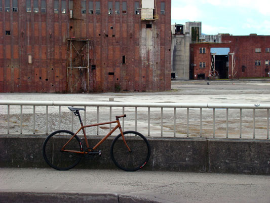 The Rust Bike: Rusty and Beautiful