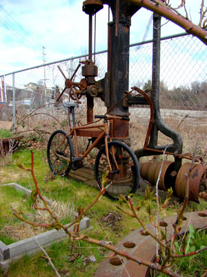 The Rust Bike: Rusty and Beautiful