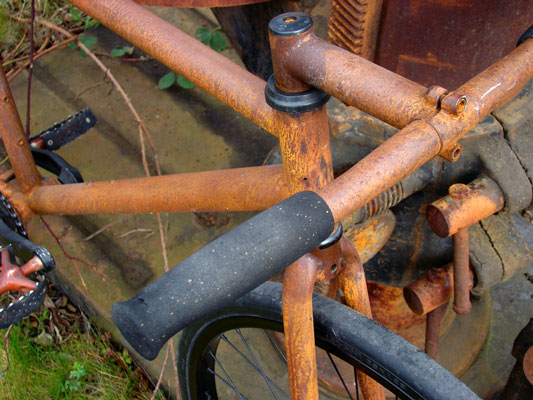 The Rust Bike: Rusty and Beautiful
