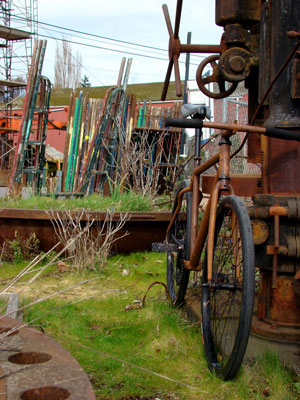 The Rust Bike: Rusty and Beautiful