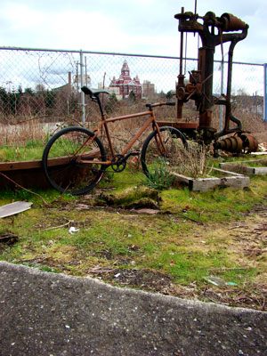 The Rust Bike: Rusty and Beautiful