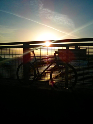 The Rust Bike: Rusty and Beautiful