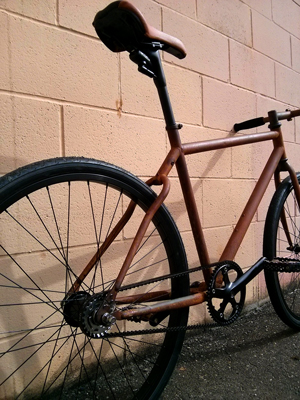 The Rust Bike: Rusty and Beautiful