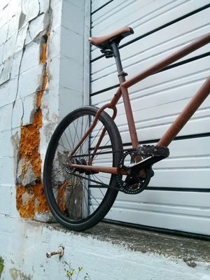 The Rust Bike: Rusty and Beautiful